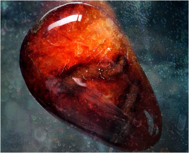 De Wielen 2016 Werk door Peter Rosier